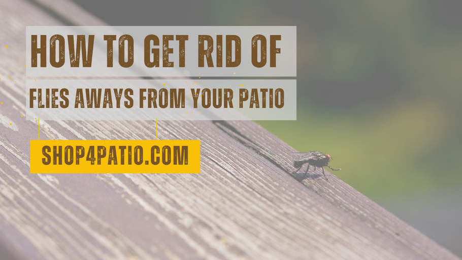 How To Get Rid Of Flies Aways From Your Patio